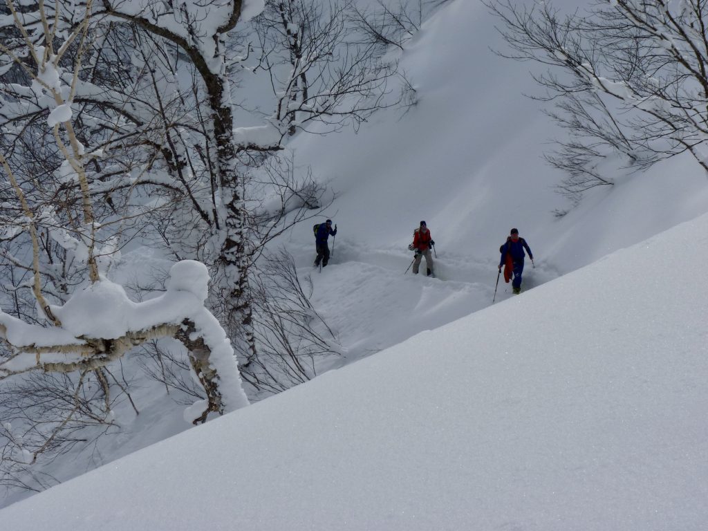 Ski de randonnée au Japon
