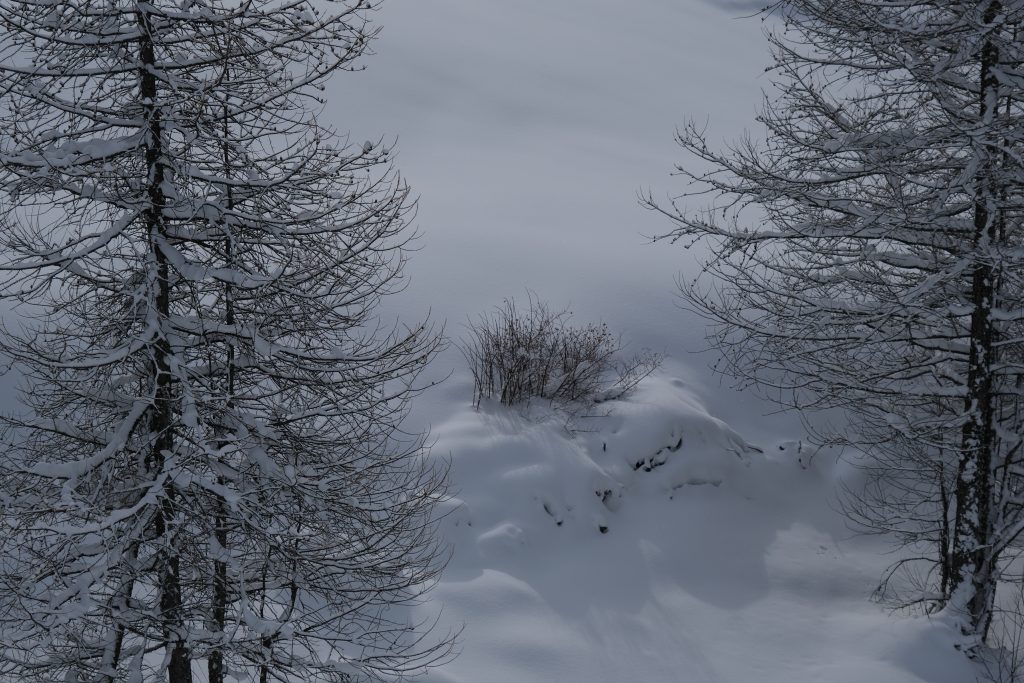 Ski de randonnée dans le Queyras, Alpes du Sud