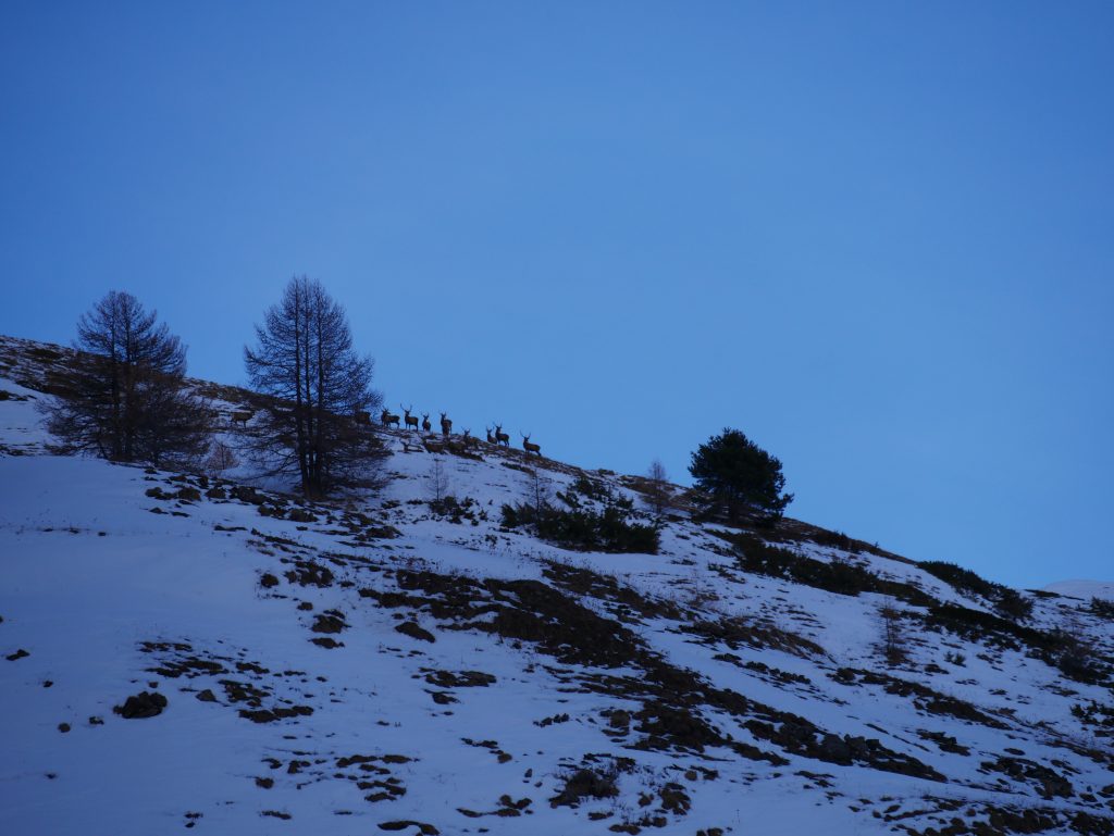 Raid à ski autour de la vallée de Serre Chevalier