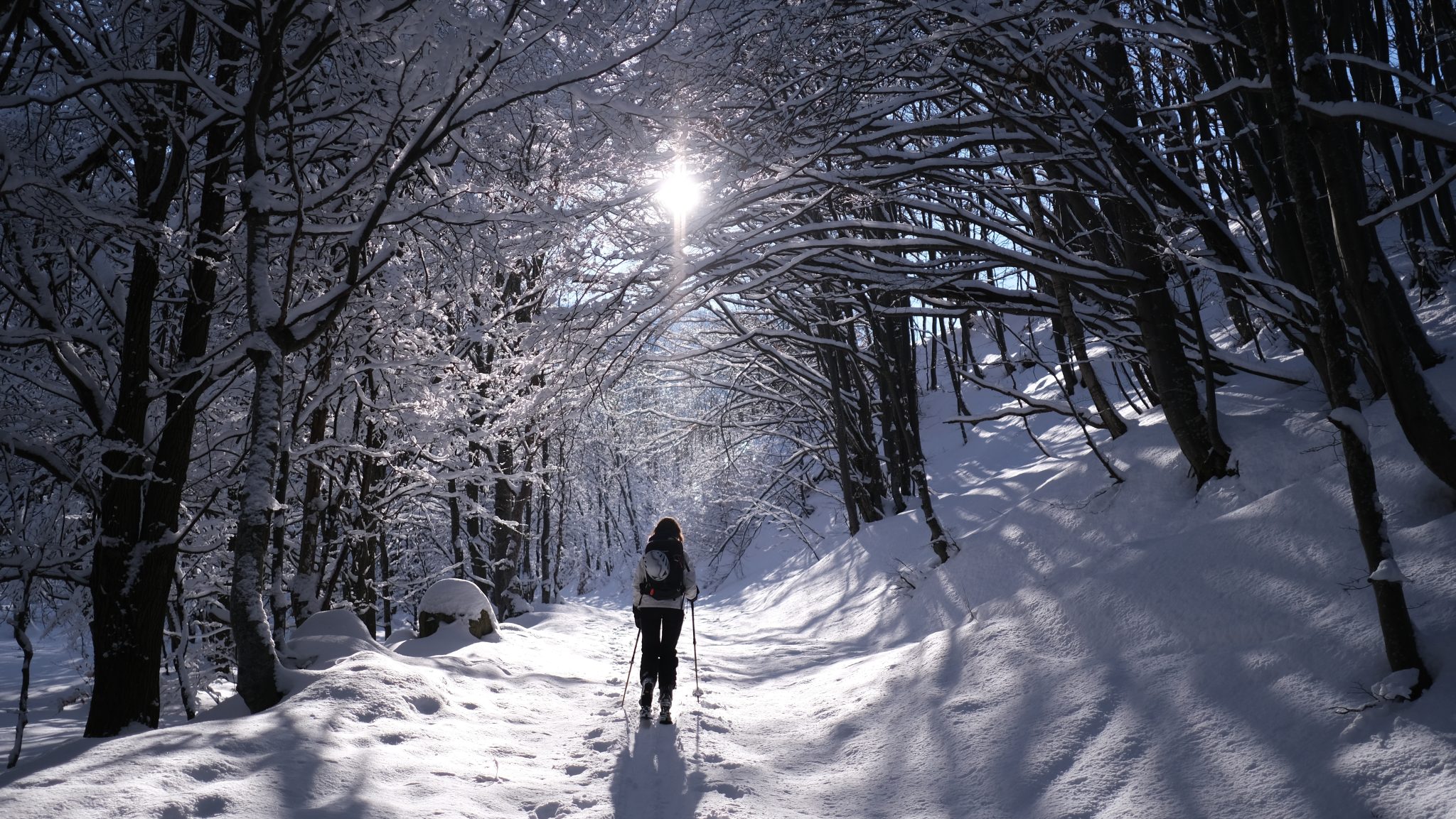 Dans les forêts de la vallée Stura